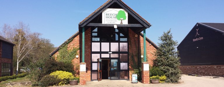 beech-house-vets-veterinary-surgery